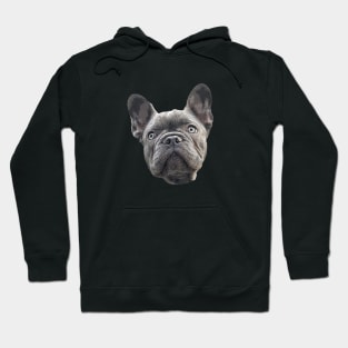 French Bulldog Blue Puppy Dog Hoodie